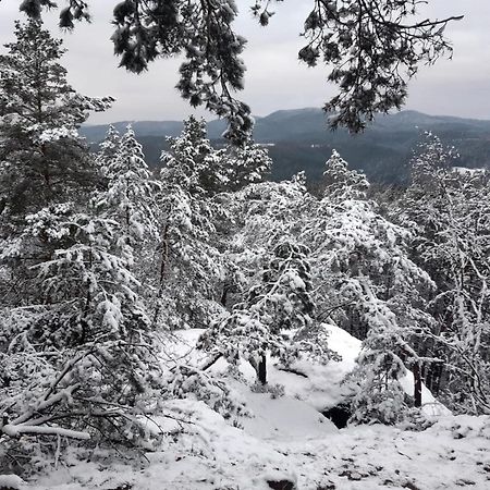 Roubenka U Huvaru Tachov  Εξωτερικό φωτογραφία
