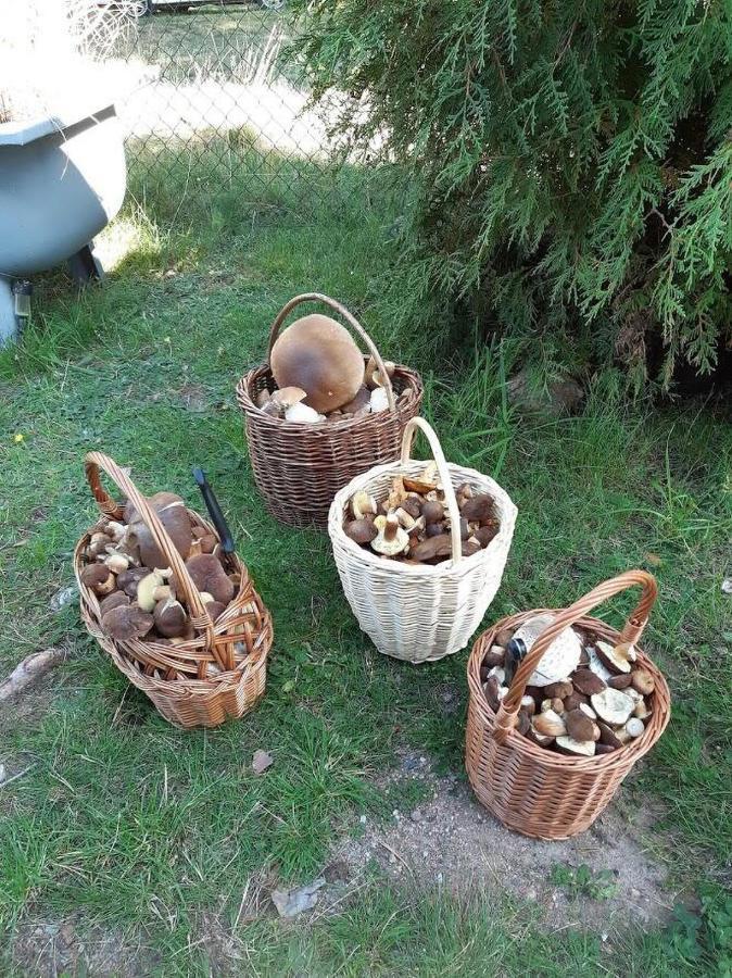 Roubenka U Huvaru Tachov  Εξωτερικό φωτογραφία
